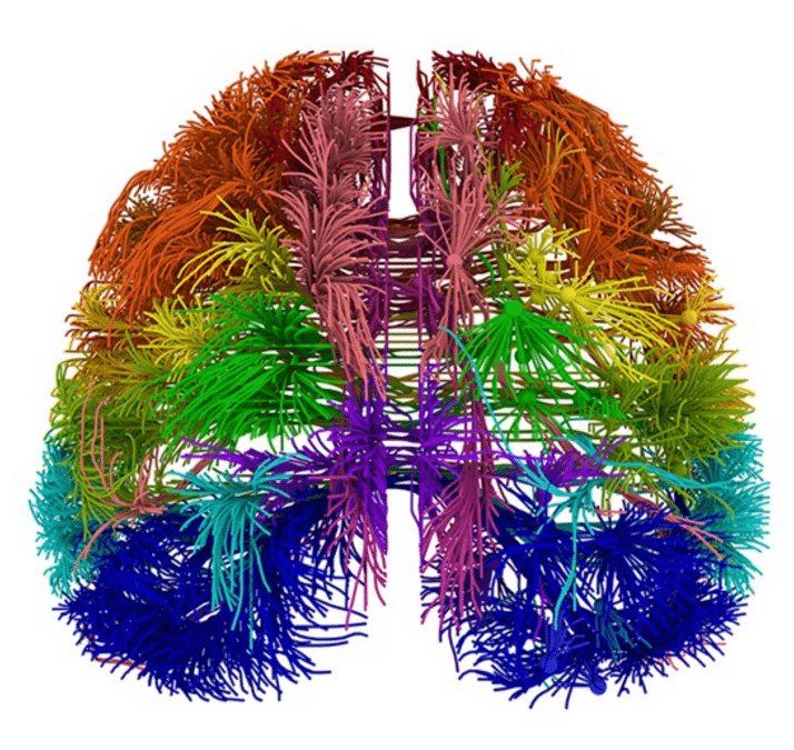 Tumors – Medical Marijuana Research Overview