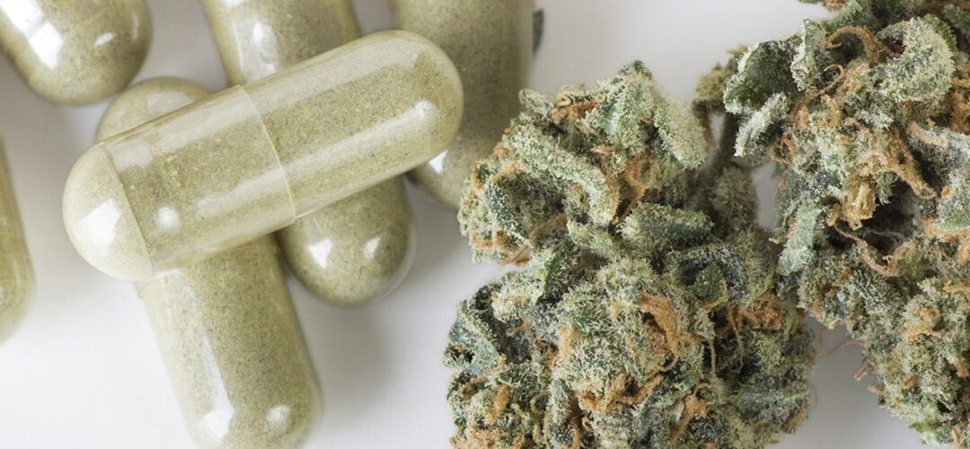 Medical Marijuana Can Curb Opioid Use, Study Indicates