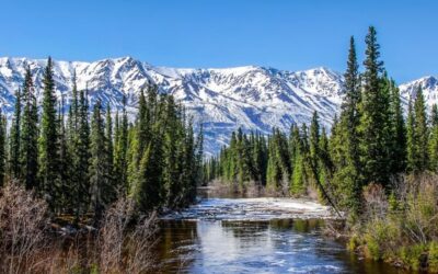 Alaska Has Record-Breaking Month of Cannabis Sales