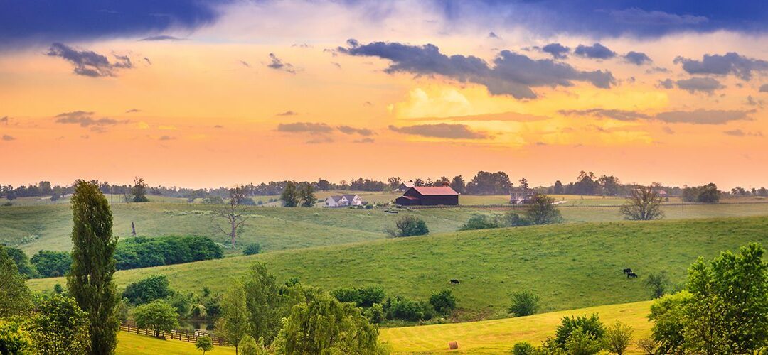 Kentucky’s Industrial Hemp Industry Surges in Third Year