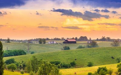 Kentucky’s Industrial Hemp Industry Surges in Third Year