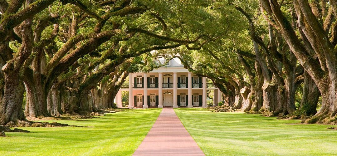 LSU and Southern U. Agree to Cultivate State’s Medical Marijuana