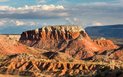 New Mexico’s Medical Marijuana Industry Up 70 Percent Over Past Year