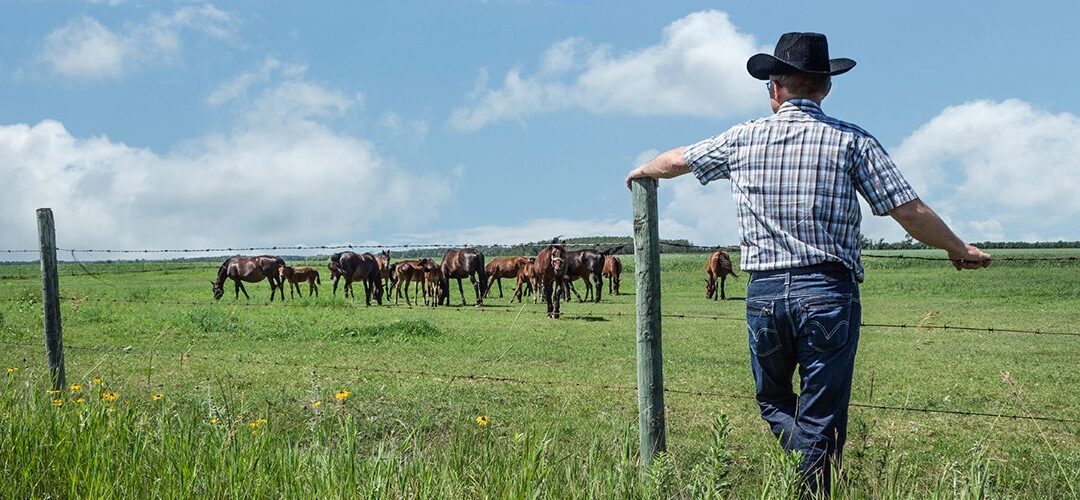 Texas Issues First Medical Marijuana License
