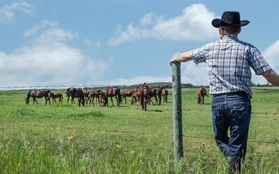 Texas Issues First Medical Marijuana License