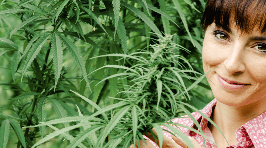 To Help Their Kids, Mothers in Argentina Illegally Grow Marijuana, Fight for Cannabis