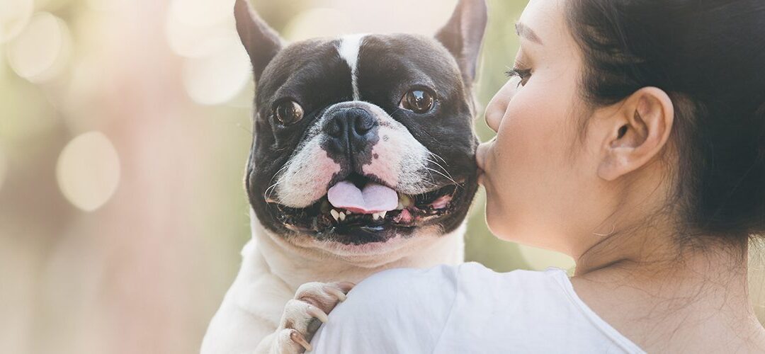 Veterinarian Says Cannabis May Provide Relief for Dogs