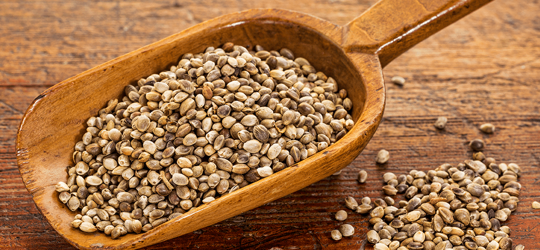 Colorado Department of Agriculture Now Offering 6 Varieties of Hemp Seed for U.S. Farmers