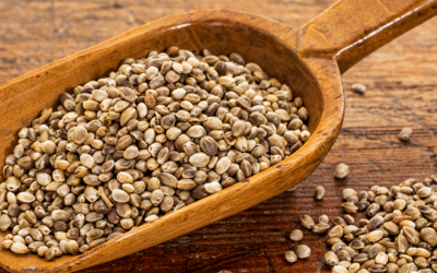 Colorado Department of Agriculture Now Offering 6 Varieties of Hemp Seed for U.S. Farmers