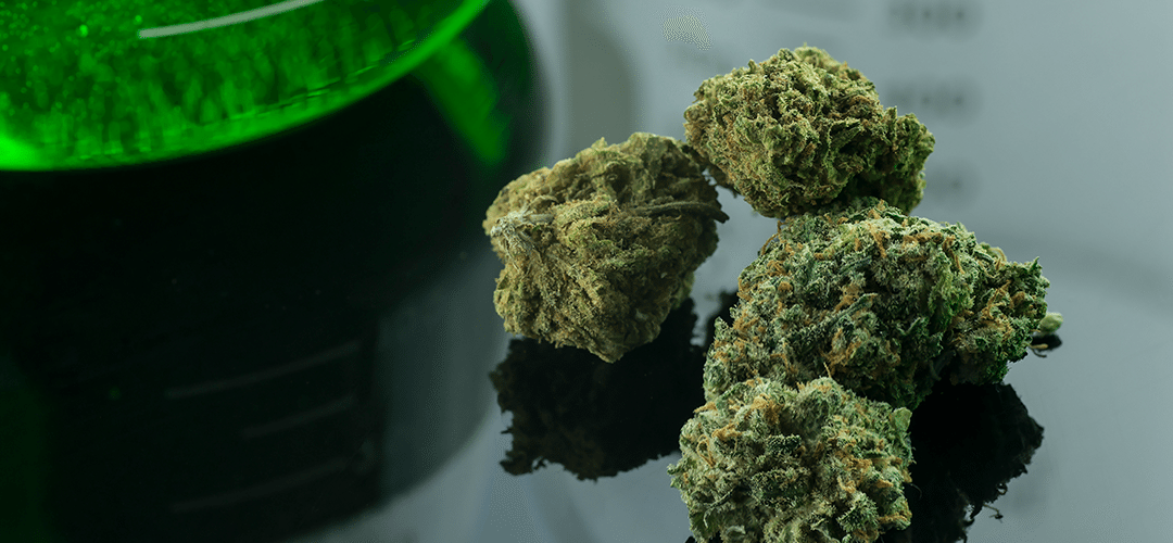 Medical Marijuana Supported by 92% of Irish Population, Survey Finds