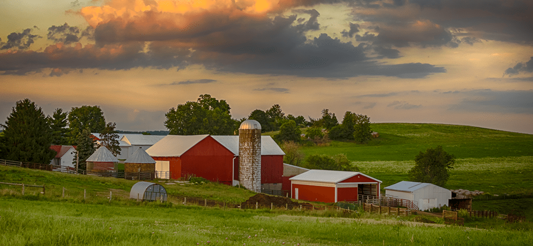 Central Ohio Voters Decriminalize Marijuana Possession in Several Cities