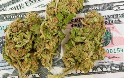 Report Projects America’s Marijuana Market Will Reach $17B by 2021