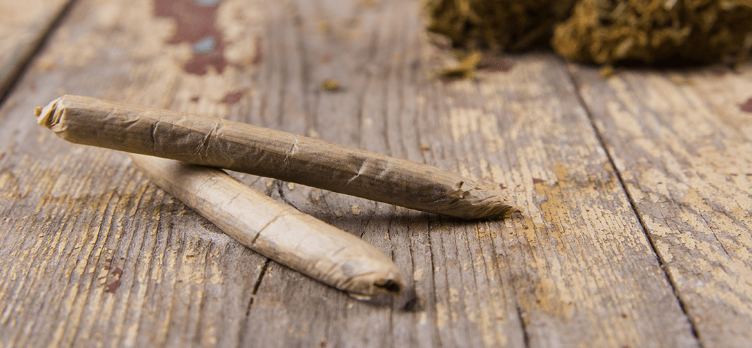 Monumental Election for Cannabis Likely to Have Ripple Effects