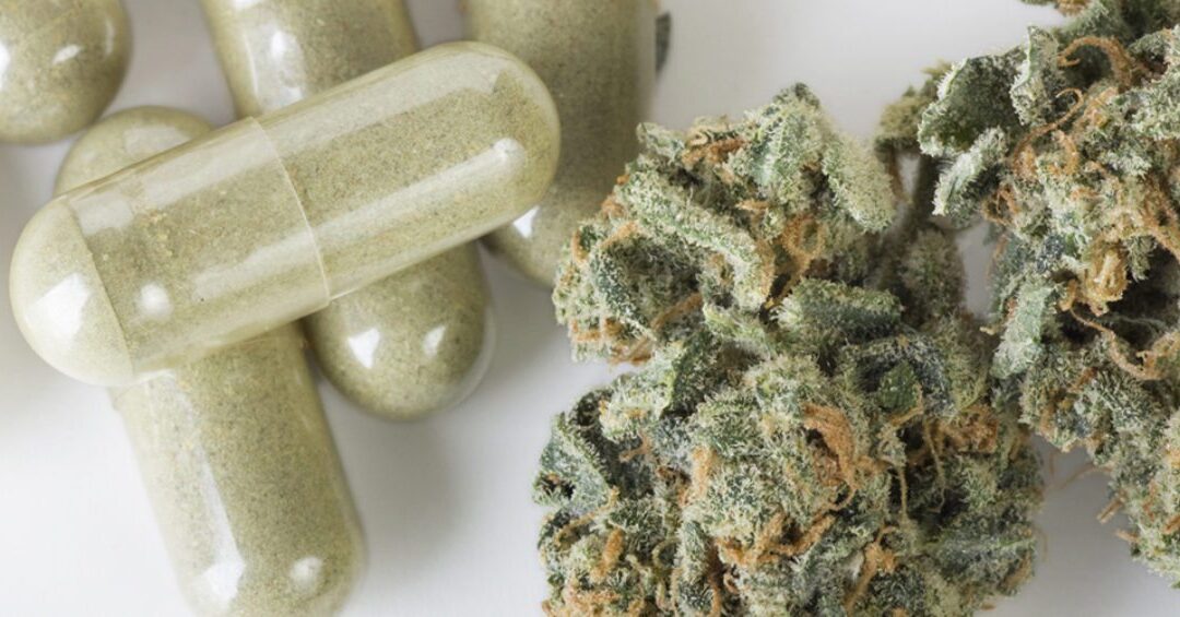 Cannabis in Place of Opioids? Experts at World Medical Cannabis Conference Make the Argument