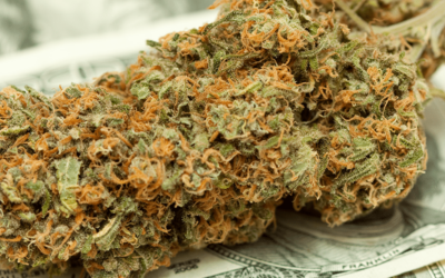 Colorado’s Marijuana Industry Hits New Milestone: $500M in Tax Revenue