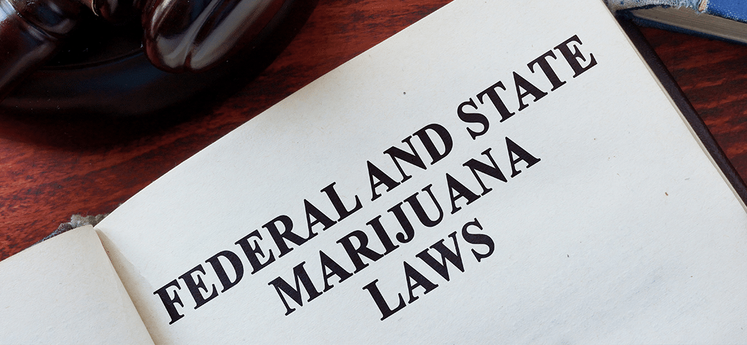 New Poll: Majority of Americans Support Marijuana Legalization, Want Federal Government to Not Interfere