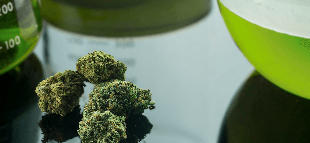 Medical Cannabis Users Outspend Recreational Consumers 3 to 1