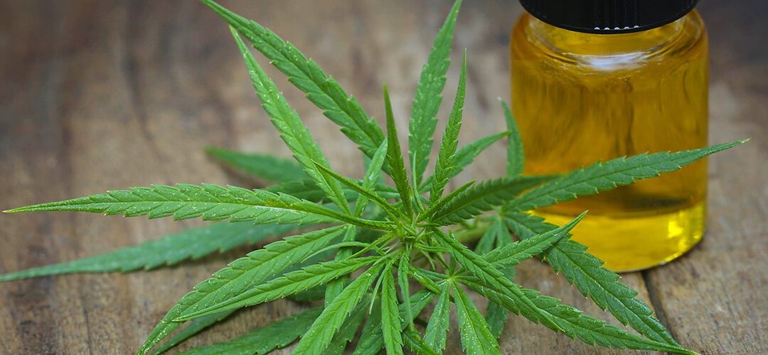 Report: Hemp CBD Sales Projected to Reach $1 Billion by 2020