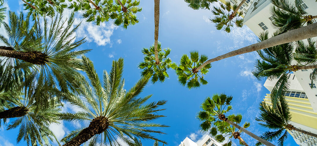 Another City in Florida Gives MMJ Dispensaries the “Green” Light