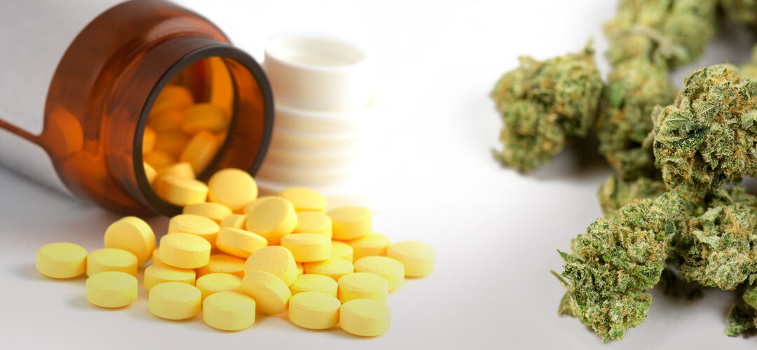 The Opioid Crisis in America – And How Cannabis Can Possibly Solve It