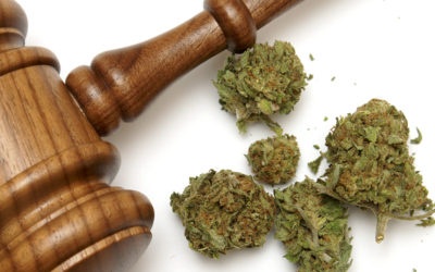 Reclassify Marijuana? That’s What a NJ Court Says