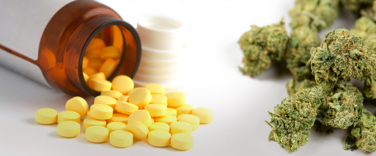 Study Finds Cannabis Effectively Reduces Opioid Use For Cancer Pain - News