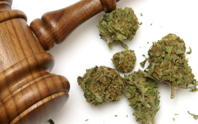 Federal Judge Tosses Out Sweeping Lawsuit That Sought to Legalize Marijuana