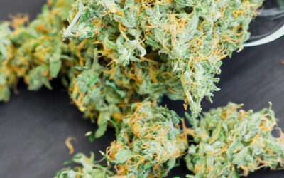 Should the Popular Marijuana Strain Green Crack be Renamed?