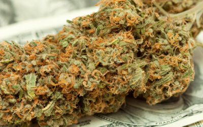 California Pulled In $60.9M in Marijuana Tax Revenue in 2018 First Quarter