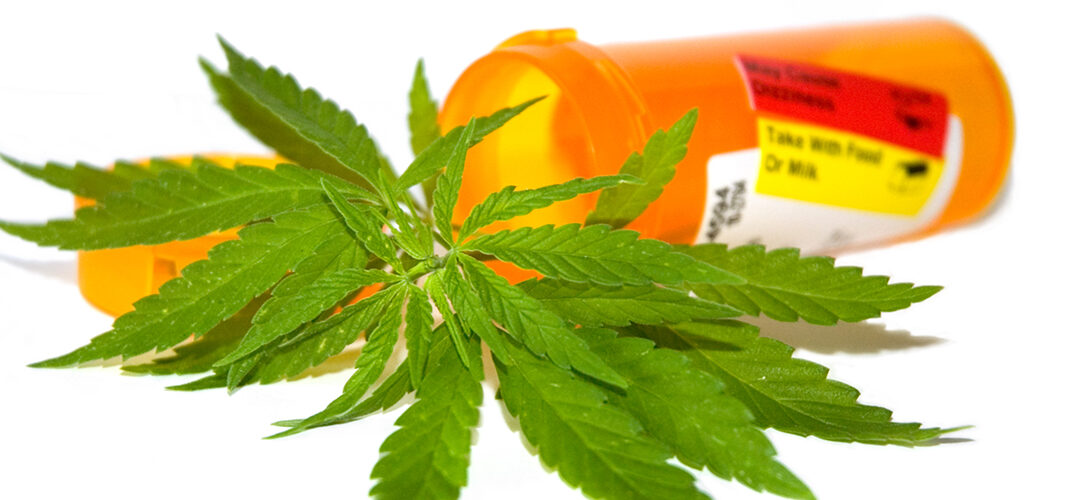 New Study: Medical Marijuana Serves as Opioid Alternative for 73% of Chronic Pain Patients