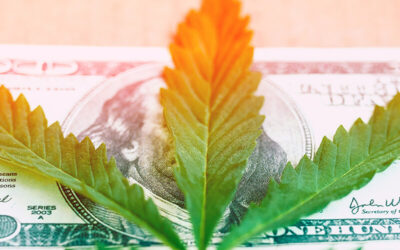 U.S. Cannabis Industry Could Have a $80B Economic Impact by 2022, Experts Say