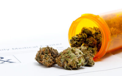 Illinois Legalizes Medical Marijuana as Opioid Alternative