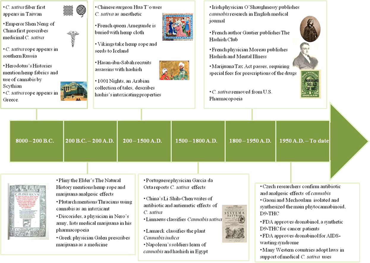 Researchers Explore History of Marijuana, Including Its Arrival to the ...