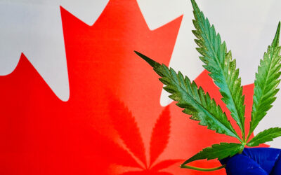 5 Likely Secondary Effects of Canada Legalizing Marijuana
