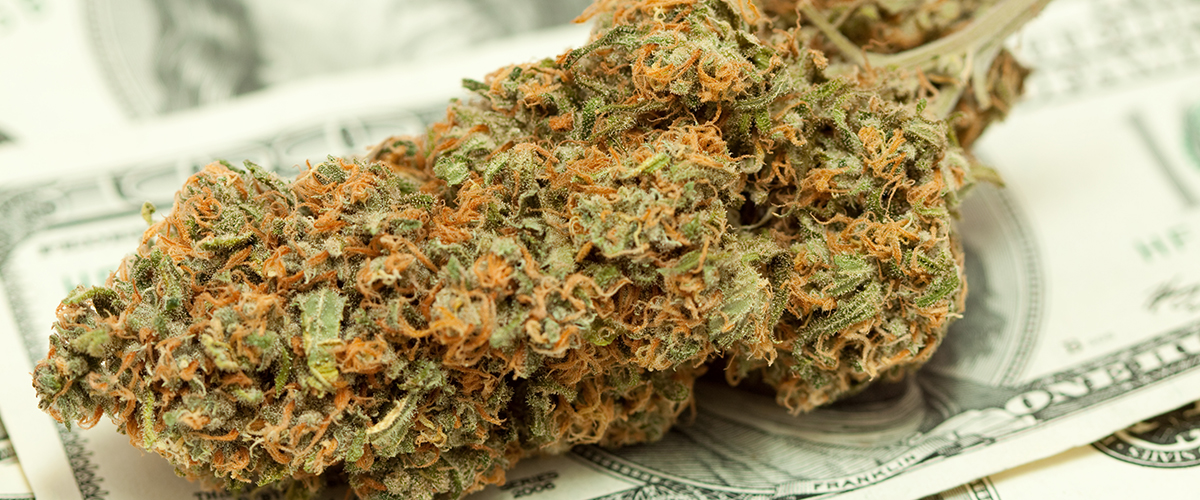 marijuana sales Colorado