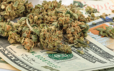 Recreational Marijuana on Sale in Massachusetts