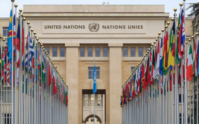 United Nations Postpones Vote on Cannabis Rescheduling