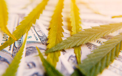 New Analysis Values Global Cannabis Market at $344 Billion
