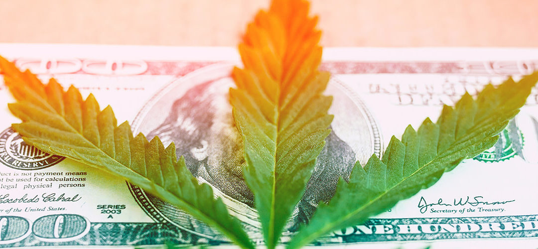 Senators McConnell and Wyden Push for Hemp Industry Banking