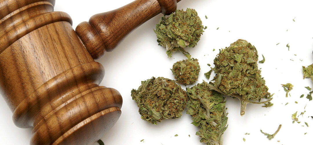 Presidential Candidate Pete Buttigieg Unveils Major Marijuana Reform Plan