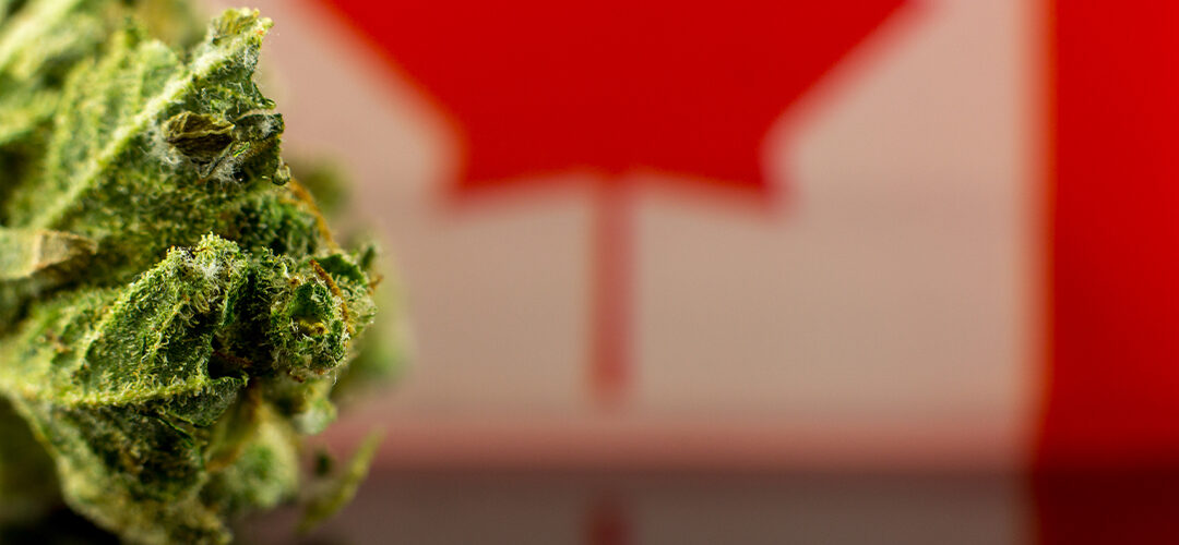 Canada’s Marijuana Sales Reach New High