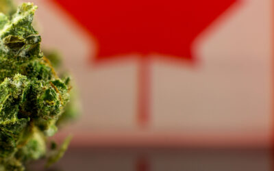 Canada’s Marijuana Sales Reach New High