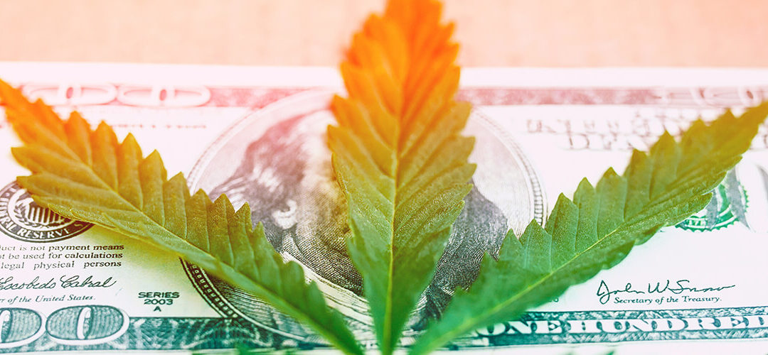 Credit Unions Can Officially Do Business with Hemp