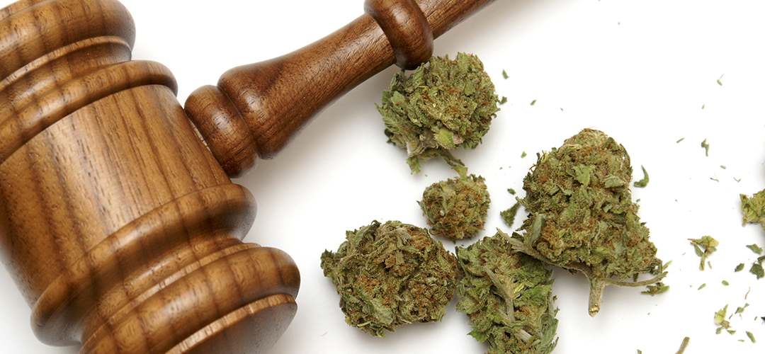Federal Court Orders DEA To Provide Answers On Marijuana Research Block