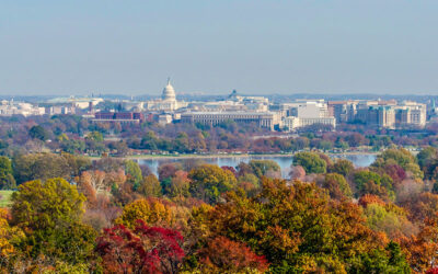 Medical Marijuana Patients in DC Given Workplace Protections