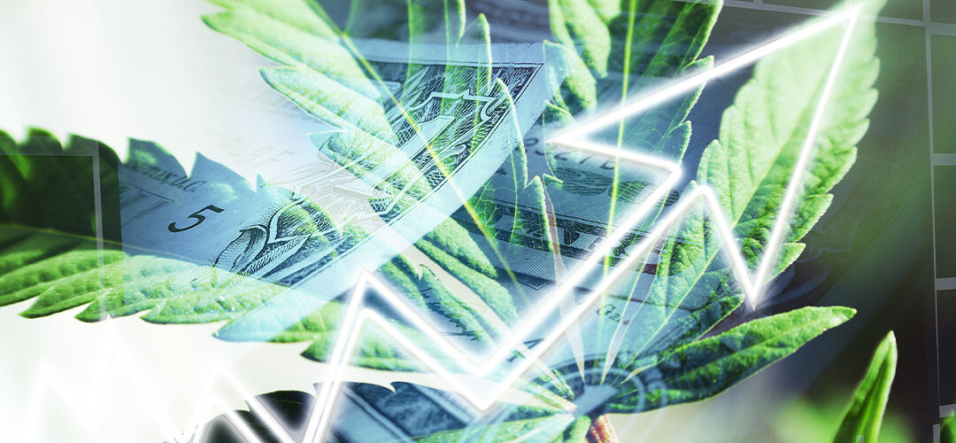 10 Statistics You Probably Don’t Know About Cannabis in 2020