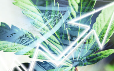 10 Statistics You Probably Don’t Know About Cannabis in 2020