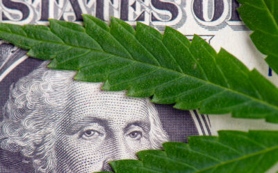 Worldwide Cannabis Sales to Reach $42.7 Billion by 2024