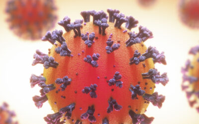 Coronavirus Could Delay Marijuana Legalization Along East Coast, And in Other States