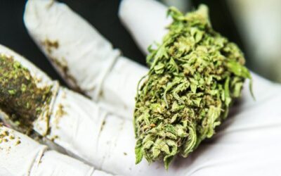 growing-demand-medical-marijuana-connecticut-add-least-3-new-marijuana-dispensaries